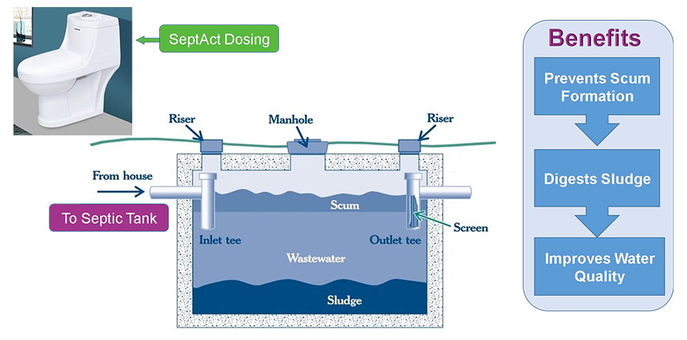 Sewage Treatment Plant